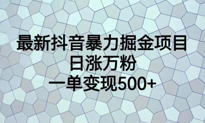最新抖音暴力掘金项目，日涨万粉，一单变现500+【揭秘】-买得值资源库