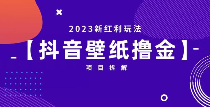 抖音壁纸小程序创作者撸金项目，2023新红利玩法【项目拆解】-买得值资源库