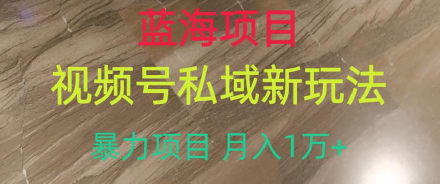 蓝海项目，视频号私域新玩法，暴力项目月入1万+【揭秘】-买得值资源库