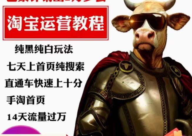 猫老师·淘系算法逆向解密，​纯黑纯白玩法，七天上首页纯搜索，手淘首页14天流量过万-买得值资源库
