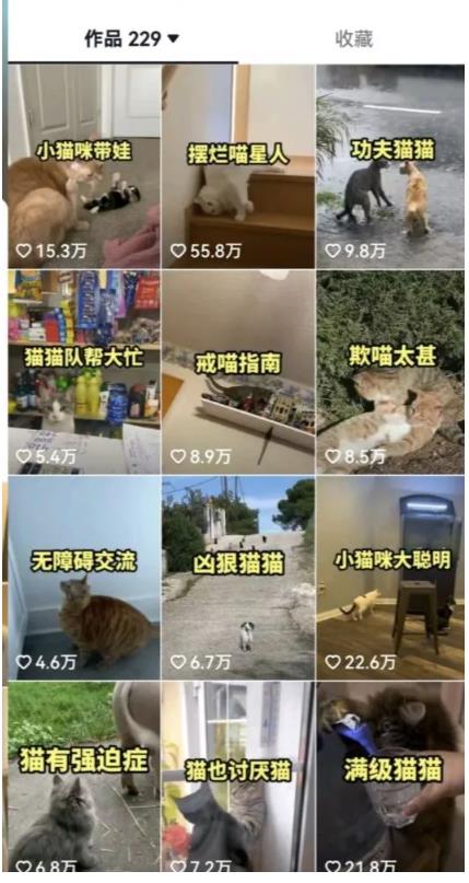 拆解：抖音盘点类中视频变现副业项目，视频版一条龙大解析分享给你-买得值资源库