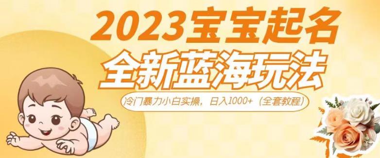 2023宝宝起名全新蓝海玩法，冷门暴力小白实操，日入1000+（全套教程）【揭秘】-买得值资源库