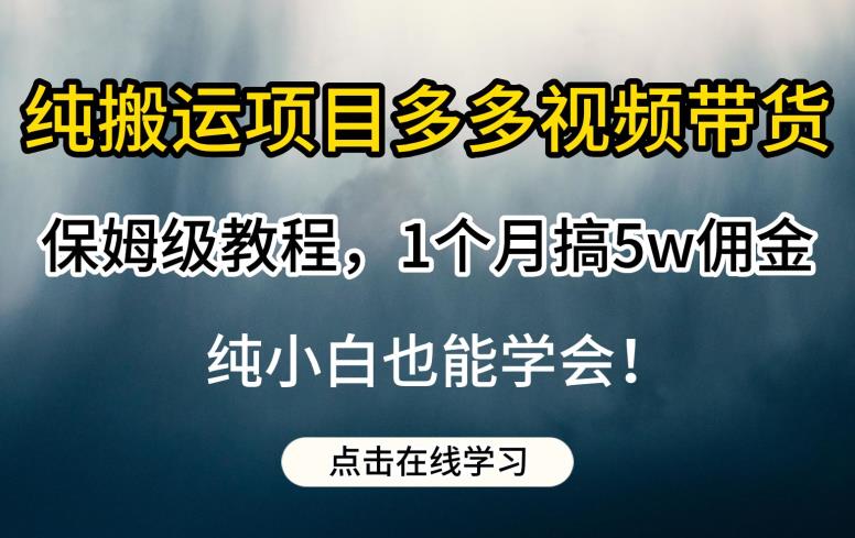 纯搬运项目多多视频带货保姆级教程，1个月搞5w佣金，纯小白也能学会【揭秘】-买得值资源库