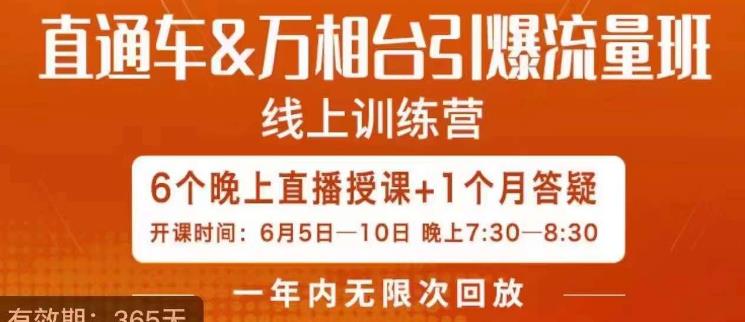 直通车&万相台引爆流量班，6天打通你开直通车·万相台的任督二脉-买得值资源库