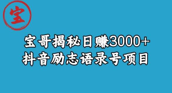 宝哥揭秘日赚3000+抖音励志语录号短视频变现项目-买得值资源库