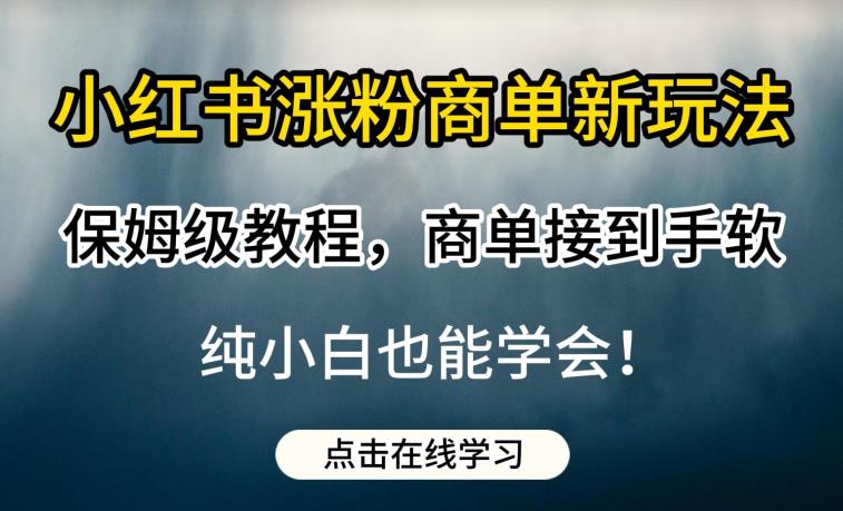 小红书涨粉商单新玩法，保姆级教程，商单接到手软，纯小白也能学会【揭秘】-买得值资源库