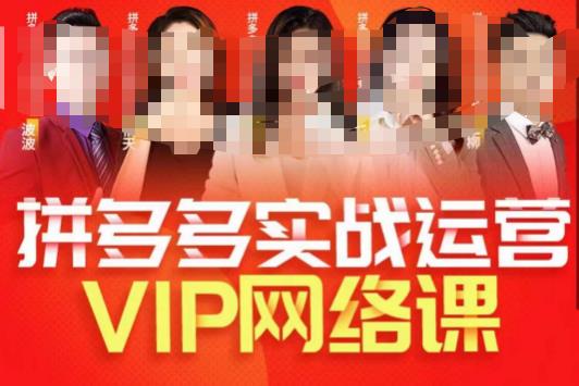 推易拼多多VIP全套直播课程，拼多多店铺实操玩法+实战玩法选款内功+直通车高阶等-买得值资源库