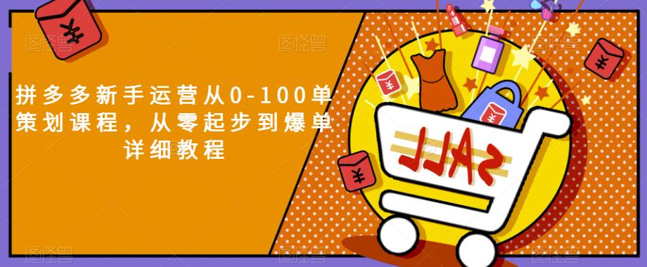 拼多多新手运营从0-100单策划课程，从零起步到爆单详细教程-买得值资源库