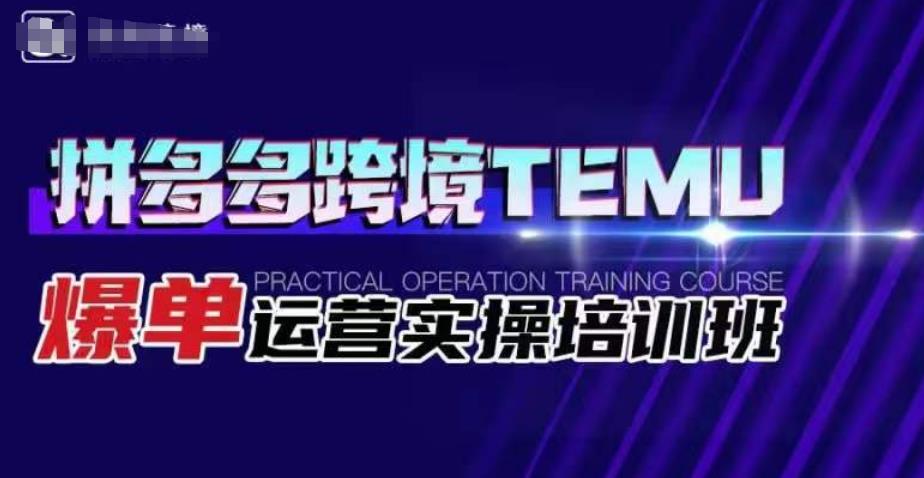 拼多多跨境TEMU爆单运营实操培训班，海外拼多多的选品、运营、爆单-买得值资源库