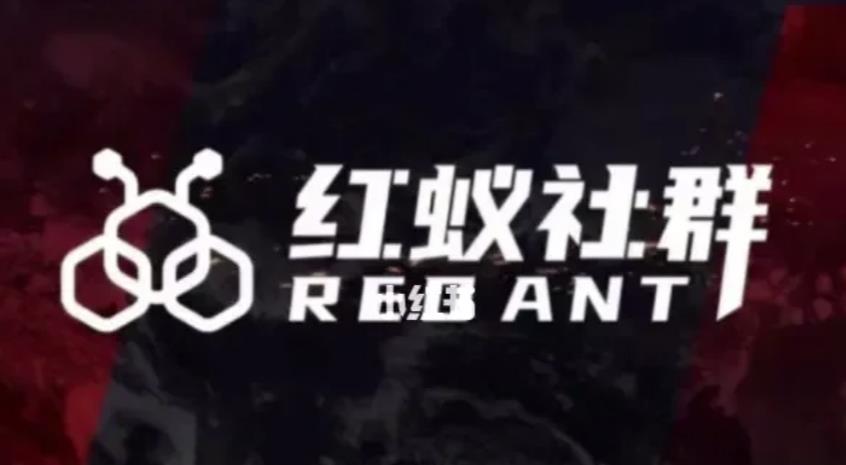 社群运营：红蚁社群【48节落地系统课程+2000人高端社群】-买得值资源库