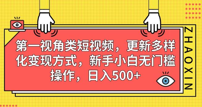 第一视角类短视频，更新多样化变现方式，新手小白无门槛操作，日入500+【揭秘】-买得值资源库