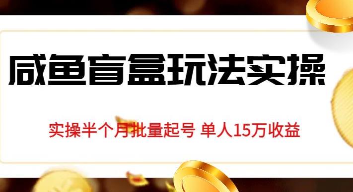 独家首发咸鱼盲盒玩法实操，半个月批量起号单人15万收益【揭秘】-买得值资源库