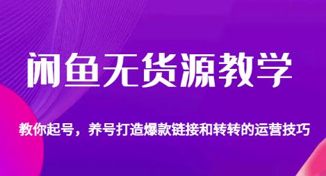 闲鱼无货源教学，教你起号，养号打造爆款链接以及转转的运营技巧-买得值资源库