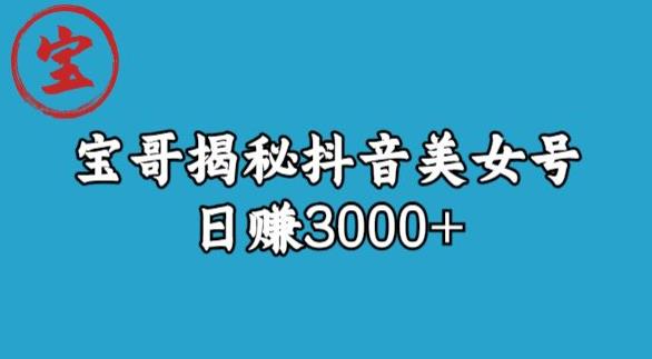 宝哥揭秘抖音美女号玩法，日赚3000+【揭秘】-买得值资源库