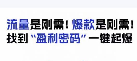 电商盈利精品课：6大盈利密码让产品更好卖，流量是刚需！爆款是刚需！找到”盈利密码”一键起爆-买得值资源库