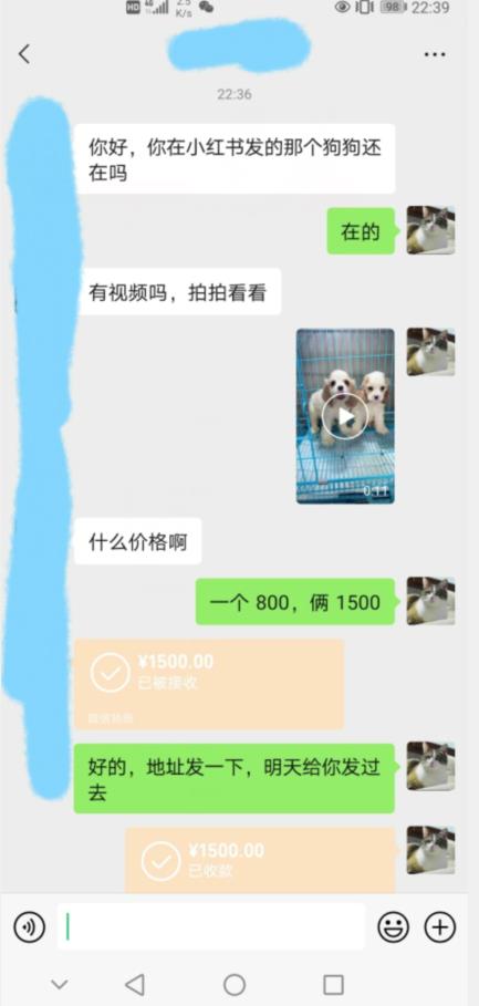 外边收费3980的同城萌宠项目，用最冷门的玩法冲击最热门的市场【揭秘】-买得值资源库