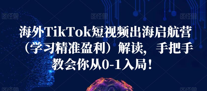 海外TikTok短视频出海启航营（学习精准盈利）解读，手把手教会你从0-1入局！-买得值资源库