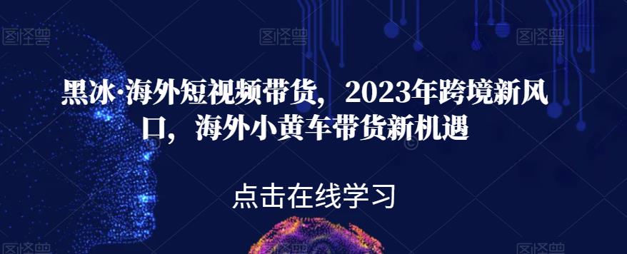 黑冰·海外短视频带货，2023年跨境新风口，海外小黄车带货新机遇-买得值资源库