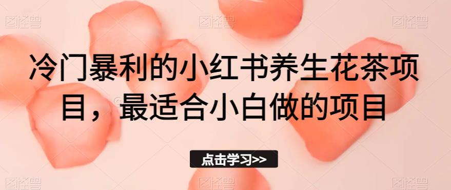 冷门暴利的小红书养生花茶项目，最适合小白做的项目【揭秘】-买得值资源库