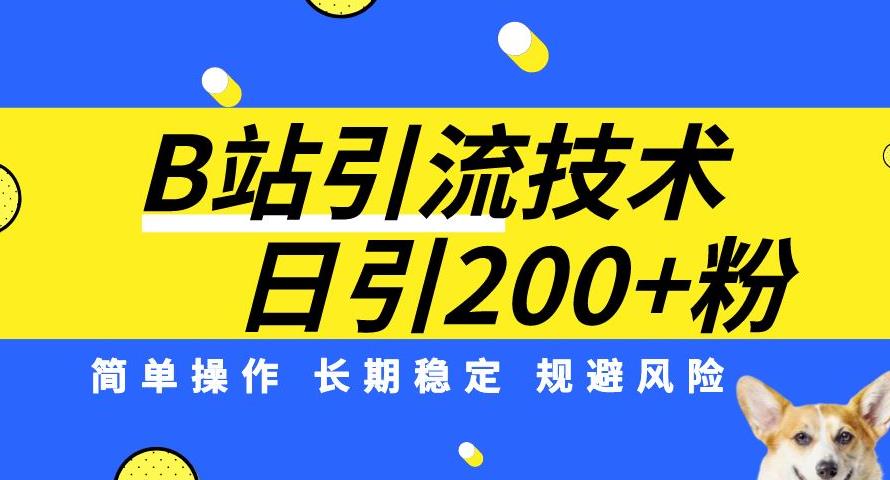 B站引流技术：每天引流200精准粉，简单操作，长期稳定，规避风险-买得值资源库
