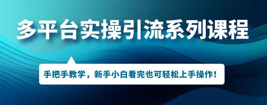 多平台引流实操系列课程，新手小白看完也可轻松上手进行引流操作-买得值资源库