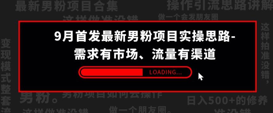 9月首发最新男粉项目实操思路-需求有市场，流量有渠道【揭秘】-买得值资源库