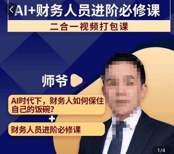 AI+财务人员进阶必修课二合一视频打包课，财务人员进阶必修课-买得值资源库