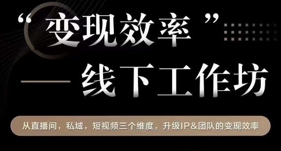 变现效率线下工作坊，从‮播直‬间、私域、‮视短‬频‮个三‬维度，升级IP和团队变现效率-买得值资源库