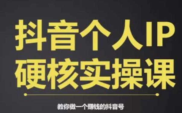个人IP创富系统实战课，商业定位，流量打造，短视频变现，教你做个赚钱的抖音号-买得值资源库
