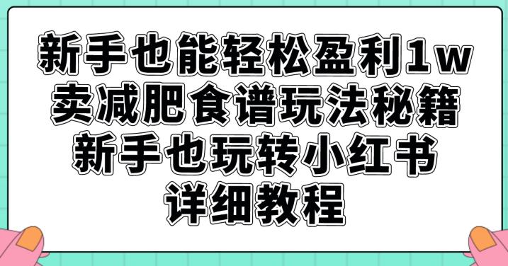 新手也能轻松盈利1w，卖减肥食谱玩法秘籍，新手也玩转小红书详细教程【揭秘】-买得值资源库