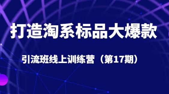 打造淘系标品大爆款引流班线上训练营（第17期）5天直播授课-买得值资源库