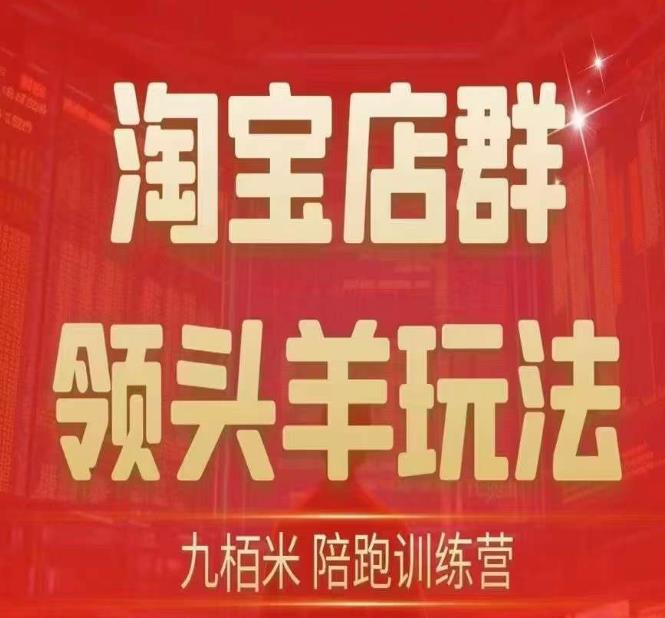 九栢米-淘宝店群领头羊玩法，教你整个淘宝店群领头羊玩法以及精细化/终极蓝海/尾销等内容-买得值资源库