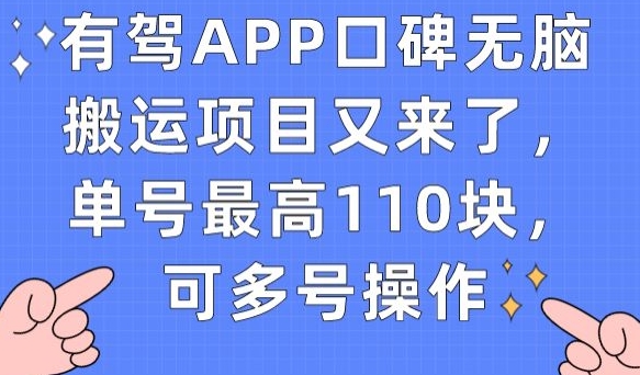 有驾APP口碑无脑搬运项目又来了，单号最高110块，可多号操作-买得值资源库