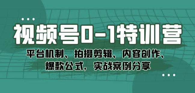 视频号0-1特训营：平台机制、拍摄剪辑、内容创作、爆款公式，实战案例分享-买得值资源库