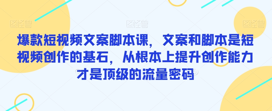 爆款短视频文案脚本课，文案和脚本是短视频创作的基石，从根本上提升创作能力才是顶级的流量密码-买得值资源库