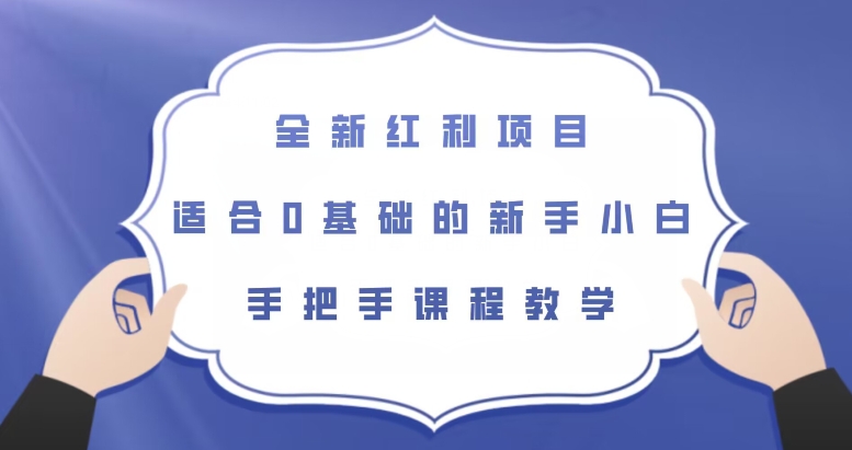 全新红利项目，适合0基础的新手小白，手把手课程教学【揭秘】-买得值资源库
