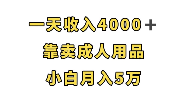 一天收入4000+，靠卖成人用品，小白轻松月入5万【揭秘】-买得值资源库