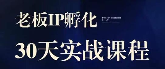 诸葛·2023老板IP实战课，实体同城引流获客，IP孵化必听-买得值资源库