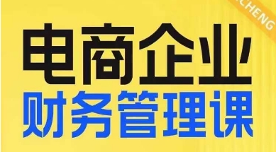 电商企业财务管理线上课，为电商企业规划财税-买得值资源库