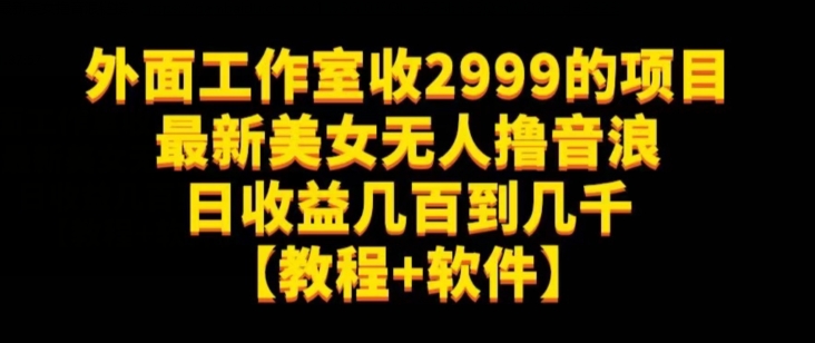 外面工作室收2999的项目最新美女无人撸音浪日收益几百到几千【教程+软件】（仅揭秘）-买得值资源库