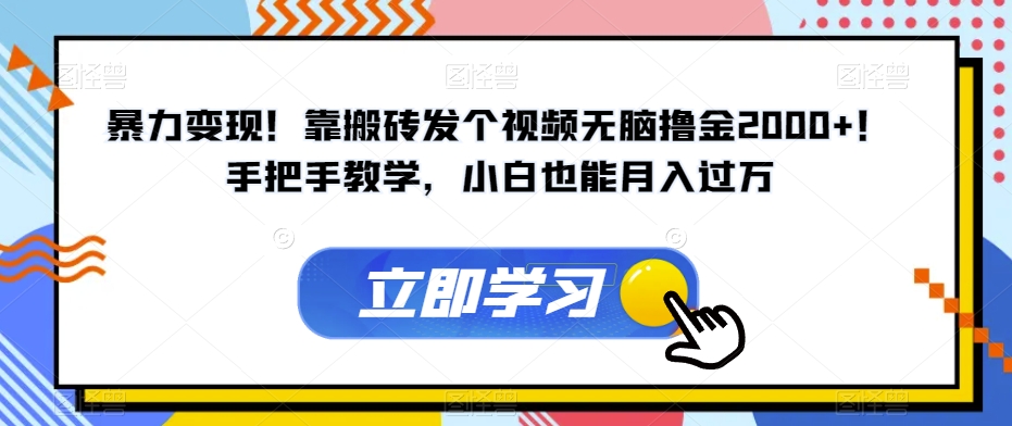 暴力变现！靠搬砖发个视频无脑撸金2000+！手把手教学，小白也能月入过万【揭秘】-买得值资源库