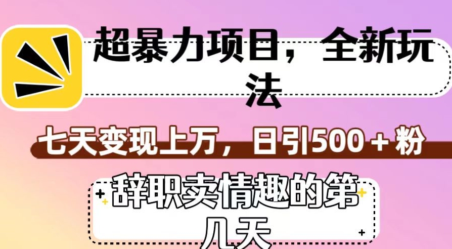 超暴利项目，全新玩法（辞职卖情趣的第几天），七天变现上万，日引500+粉【揭秘】-买得值资源库