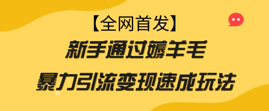 【全网首发】新手通过薅羊毛暴力引流变现速成玩法-买得值资源库