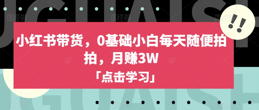 小红书带货，0基础小白每天随便拍拍，月赚3W【揭秘】-买得值资源库