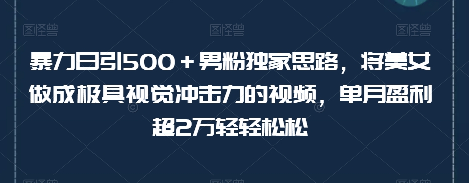 暴力日引500＋男粉独家思路，将美女做成极具视觉冲击力的视频，单月盈利超2万轻轻松松-买得值资源库
