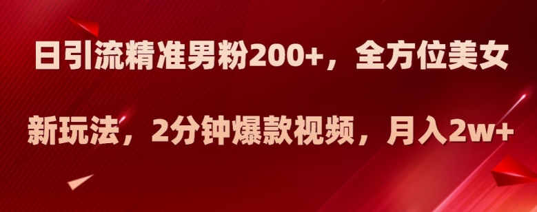 日引流精准男粉200+，全方位美女新玩法，2分钟爆款视频，月入2w+【揭秘】-买得值资源库