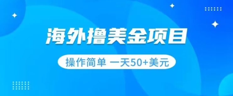 撸美金项目无门槛操作简单小白一天50+美刀-买得值资源库