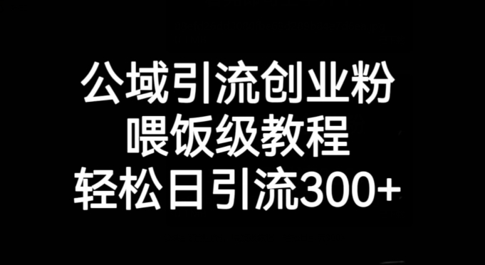 公域引流创业粉，喂饭级教程，轻松日引流300+【揭秘】-买得值资源库