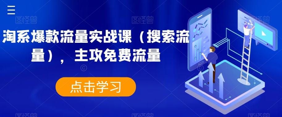 淘系爆款流量实战课（搜索流量），主攻免费流量-买得值资源库