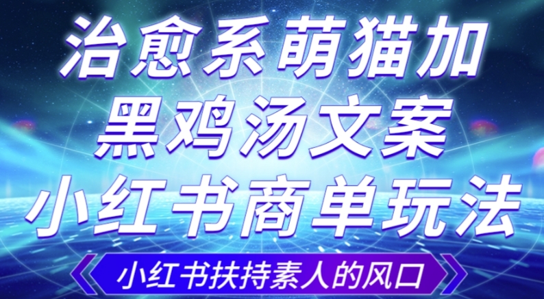 治愈系萌猫加+黑鸡汤文案，小红书商单玩法，3~10天涨到1000粉，一单200左右-买得值资源库